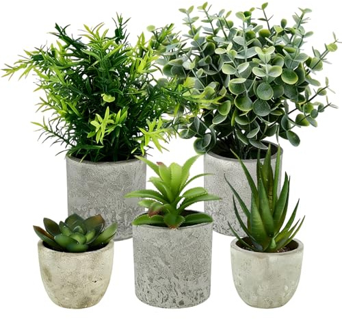 MFUSUL 5 Pieces Plantes Artificielle, Mini Plantes artificielles Interieur Serpentine, Griffe d'aigle Aloe Vera, Agave succulentes, Plante Artificielle pour Chambre Salle de Bain Bureau Décoration
