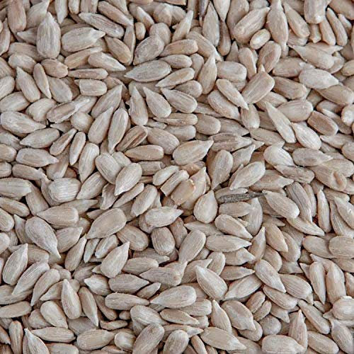 Leagrams Premium Sunflower Hearts (Sunflower Kernels) for Wild Birds – No Mess, High Oil, Bakery Grade High-Energy Feed (25.1kg) Bag