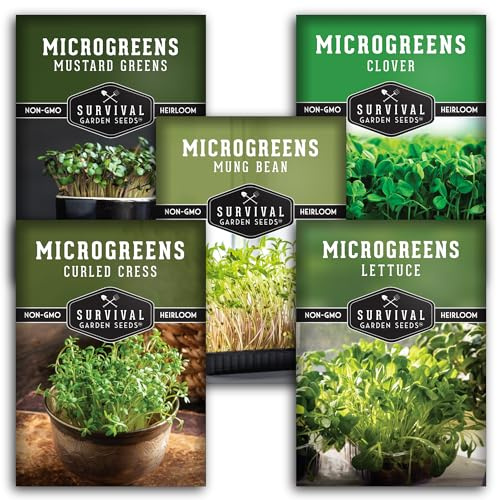 Microgreens Seeds 5-Variety Pack for Sprouting – Mustard, Mung Bean, Curled Cress, Clover & Lettuce Seed for Indoors – Fast-Growing Non-GMO Heirloom Starter Pack – Survival Garden Seeds