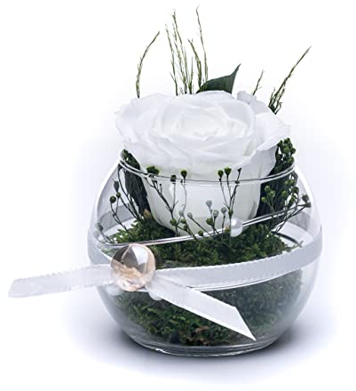 Rosen-Te-Amo,Rose éternelle conservée blanche dans un verre,parfumée,fait à la main avec un véritable film dans une boîte cadeau fine , Roses Infinity,Cadeau pour mère et anniversaire pour femme