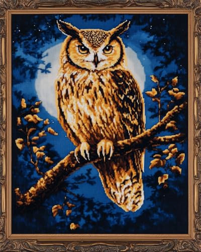 AYAOYANGGO 11CT Kreuzstich Set Stickset Mit Eule Und Mond，Kreuzstich-Set Mit Cartoon-Tieren Für Erwachsene，Mit Nadeln，Schereneinfädler，Vordruck Für Die Wanddekoration Zu Hause 40x50cm