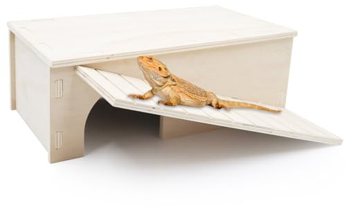 Dnoifne Tana in Legno per Drago Barbuto - Riparo per Rettili con Rampa Scalabile e Piattaforma per Basking - Accessorio per Terrario di Lucertole, Camaleonti e Piccoli Animali