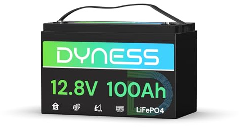Dyness Batería LiFePO4 12V 100Ah, 12V Batería de Litio Hierro de Fosfato de Ciclo Profundo con 100A BMS, Protección de Baja Temperatura, para Autocaravana, Marina, Campistas, Sistemas Solares