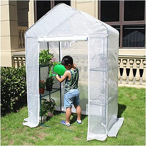 LSDRALOBBEB Treibhaus Foliengewächshaus Mini Gewächshaus Walk in Gewächshaus mit Regalen, großes verstärktes Gewächshaus mit Stahlrohrrahmen, 2 Regale Heavy Duty Grow House 807