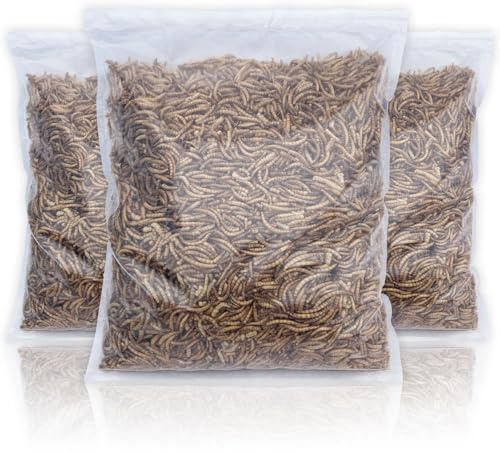 UK Grown Dried Mealworms for Birds & Reptiles – High Protein Natural Treat – Fresh Daily Packed, Premium Quality Insects – Multiple (10 Litre Value Bag)
