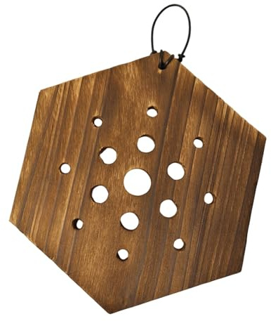 FewNvWa Maceta de Pared Resistente para Sphagnum con Montaje en Forma de Helecho Cuerno de Ciervo, Hexagonal
