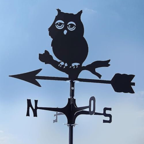 Wetterfahne aus Edelstahl mit Hahn, Wetterfahne, Hof, Ornament, Dächer, Schuppen, Garten, Wetter, R6q2 Kit Collies Vanes Barn