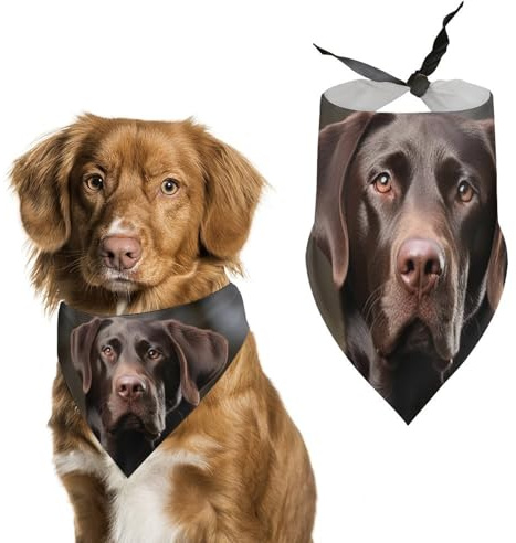 Labrador Retriever Hundehalstücher zum Füttern und Pflegen, dreieckige Haustier-Lätzchen, waschbar, Haustier-Schal für Katzen und Hunde
