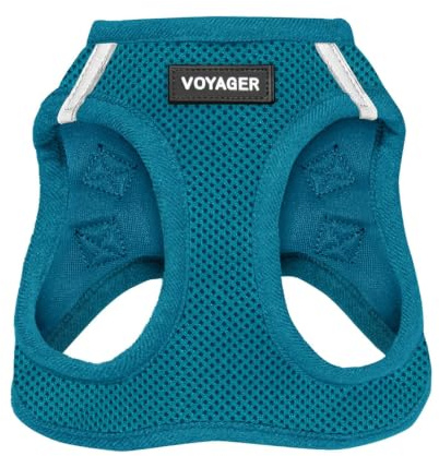 Voyager Step-In Air Hundegeschirr by Best Pet Supplies - All Weather Mesh Step in Vest Harness für kleine und mittlere Hunde, Türkis, size XS - Brust 33-37 cm