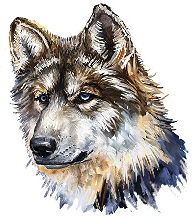 GIVBRO Bügelbilder zum Aufbügeln, Wolfs-Applikationen, Aufkleber, Wärmeübertragung, Flicken zum Aufbügeln, für T-Shirt, DIY-Zubehör (#B)