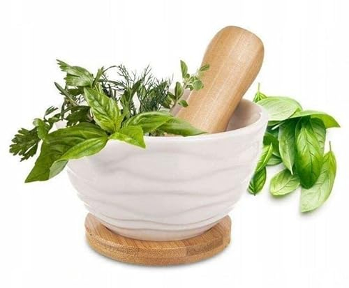 Cole & Mason H111929 Suribachi Maja y mortero | Molinillo de especias/Molinillo de hierbas | Porcelana esmaltada blanca/Maja y mortero de cerámica blanco