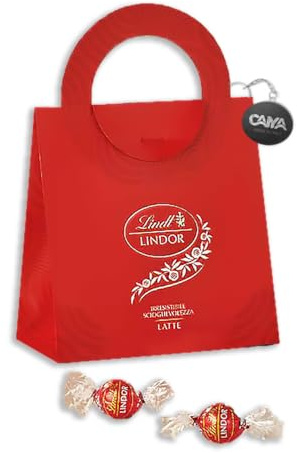 Praline di Cioccolato al Latte con Morbido Ripieno in Elegante Borsetta Bag Confezione Regalo di Carta 190g