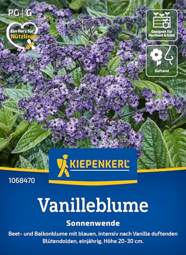 Kiepenkerl Vanilleblumensamen Sonnenwende 1068470, Blumensaat | Vanillegeruch, einjährig, Blütendolden