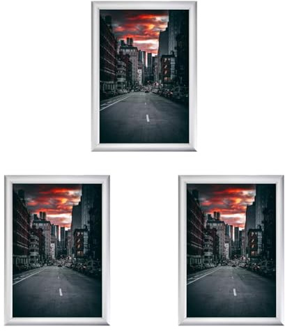 Albyco - Marco de Fotos A4 - Marcos para Cuadros, Portafotos, Con Sistema de Clic, Marco A4-21 x 29,7cm - Tamaño del Marco 20 mm - Aluminio - Metal - Marco de aluminio (Paquete de 3)