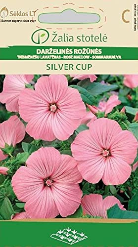 Seklos LT | BECHERMALVE SILVER CUP | Einjährig Pflanze | Blumensamen | Die Bechermalve wächst krautig bis buschig | Pflanzensamen | 1 Pack