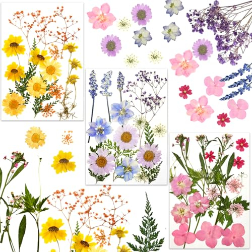 JRDFHT Trockenblumen, Natürliche Getrocknete Blumen, Gepresste Blumen, Dried Flowers, Trockenblumen für Epoxidharz, DIY Kunsthandwerk