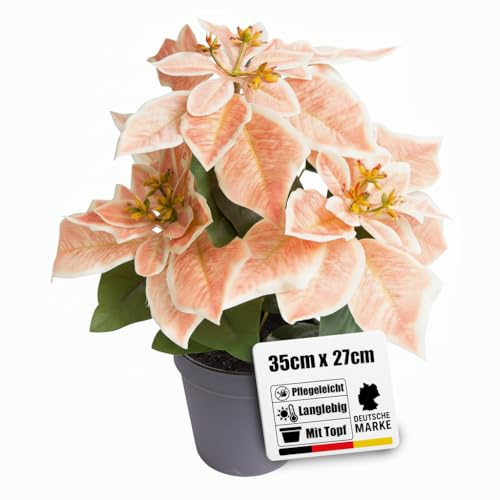 künstliche Poinsettia (Weihnachtsstern) lachsorange mit 3 Blüten im schwarzen Kunststofftopf, Höhe ca. 35 cm – die Kunstblume Poinsettie sorgt zwischen Weihnachtsdekorationen für festliche Stimmung
