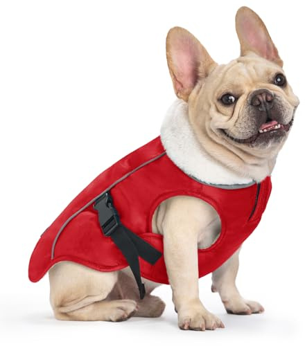 EMUST Hundemantel, Winddichte Hundebekleidung für kaltes Wetter, Reflektierende Wintermäntel für Hunde, Warme Welpenjacke für Kalten Winter, Rot S