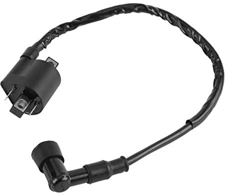Motorrad 2 Pin Zündspule für Honda CBF125 CBR125 CR125 CR250 CRF450 CR500 TRX650 TRX700