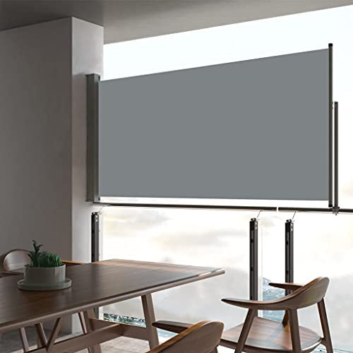 Coavain Tenda da sole laterale estensibile, grigia, allungabile, opaca, per la privacy, per esterni, per il balcone, 80 x 300 cm, tessuto e acciaio