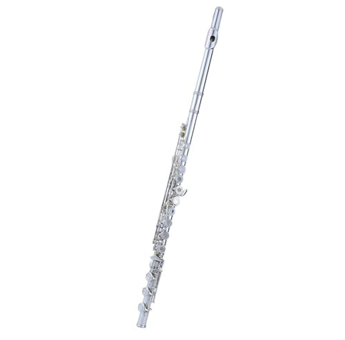 Classic Flûte Traversière Flûte À Trou Ouvert Et Fermé Cupronickel 17 De Niveau Débutant Style Courbé En C Avec Clé E Plaquée Argent(Bag A)
