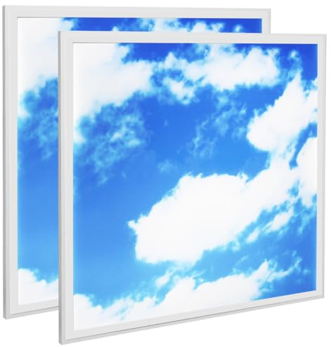 Long Life Lamp Company 2 x 40w Sky LED Ceiling Panel 600 x 600 Cloud Scene Recessed Office Light with Transformer