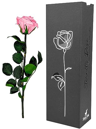 Moos Zeit KUNST DER NATUR Rosa Infinity Rose mit Stiel, echte konservierte Rose in Premium Geschenkbox - ewige Blume mit Rosenduft Haltbar bis zu 3 Jahre