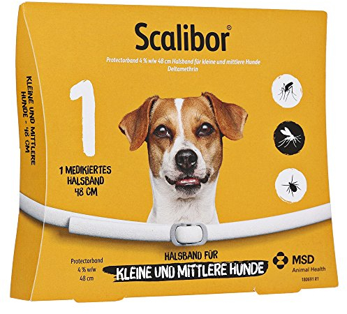 SCALIBOR Protectorband 48 cm f.kleine-mittl.Hunde 1 Stück