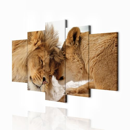 decomonkey Wandbilder Tiere 200x100 cm 5 Teilig Wandbild Groß Wohnzimmer | Leinwandbild XXL, Deko, Schlafzimmer, Büro, Wanddeko, Leinwand, Pictures For Wall, Poster, Wall Painting, Set, Natur