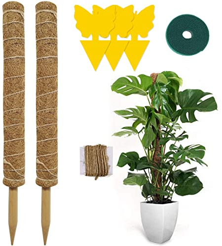 Hongyans 2 Pezzi Sostegno Piante Rampicanti Bastone Muschiato 50 cm Cocco Muschio Palo Totem in Cocco di Supporto per Piante per Pothos Pianta Monstera Deliciosa con Fascette da Giardino