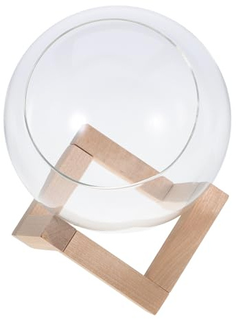 Garneck Glas Pflanzenvase Mit Holzständer Transparentes Terrarium Für Hydroponische Pflanzenvermehrung in Wohnzimmer Und Wintergarten