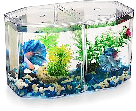 UKCOCO Aquarium de Bureau de Miniature: Petit Aquarium Betta avec Cloison Amovible pour Betta, Poisson Rouge - pour Enfants Débutants