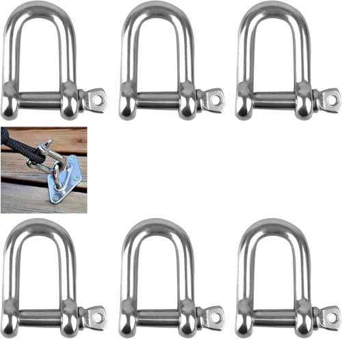 Schäkel D-Form, 304 Edelstahl D-Ring-Schäkel, M8 Edelstahl Schäkel, D Schäkel, D Schäkel Edelstahl,D Ring Schäkel Gerade, für Takelage Stahlseil Kordeln Ketten Schäkel,6 Stück