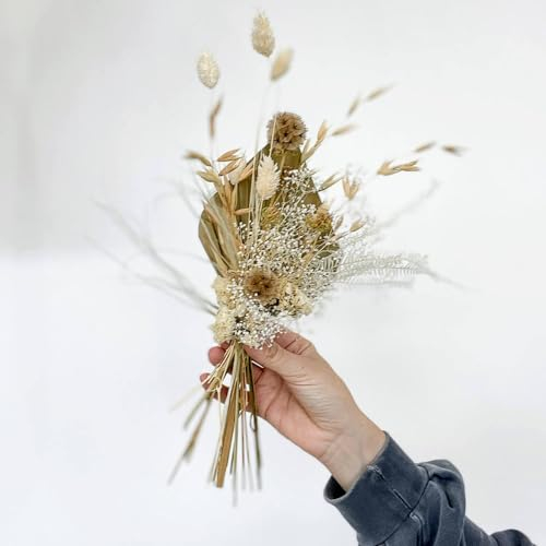 Lykke & You Trockenblumenstrauß Mini Palmblatt Größe 30 cm, Verpackungseinheit 1x, Farbe beige