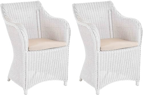 Krines Home 2er Set Rattan Esszimmersessel Dive Esszimmerstuhl mit Armlehne Rattansessel Esszimmer Sessel (Weiss)