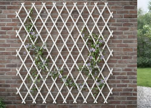 BIANCHERIAWEB Enrejado extensible de PVC para plantas trepadoras, vallas de jardín o balcón, 100 x 200 cm, color blanco
