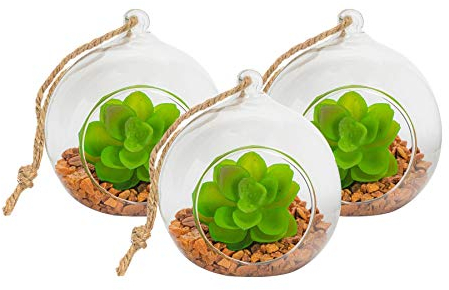 Nicola Spring Hanging Glass Terrariums - 10cm - Pack of 3 Open Terrarium Pot Planter for Indoor Outdoor Home Garden Succulent, Cacti, Ferns, Plants Hanging Tabletop Display