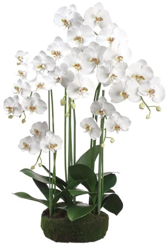 SilksAreForever 39 Phalaenopsis Orchid Silk Flower Arrangement w/Soil & Moss Base -White