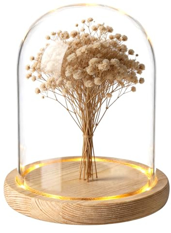 BORDEAG Campana de cristal decorativa con base de madera natural, alta, 12 x 16 cm, protección contra el polvo, luz nocturna