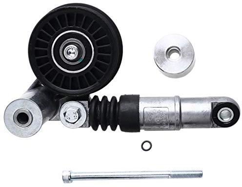 Frankberg Polea guía de rodillos Diesel Compatible con Golf IV 1J1 1.9L A4 Avant 8E5 1.9L P.a.s.s.a.t Variante 3B6 1.9L P.a.s.s.a.t Variante 3B5 1.9L A4 8E2 1.9L Replace# 038145299A