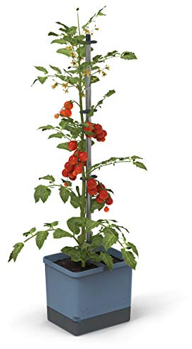 GUSTA GARDEN Tom Tomato Tomatentopf Hellgrau - Pflanzentopf mit Rankhilfe, Bewässerungssystem & Befestigungshaken - Set inkl. 20L Erde - 4,5L Wassertank & 20L Erdvolumen (blau, ohne Erde)