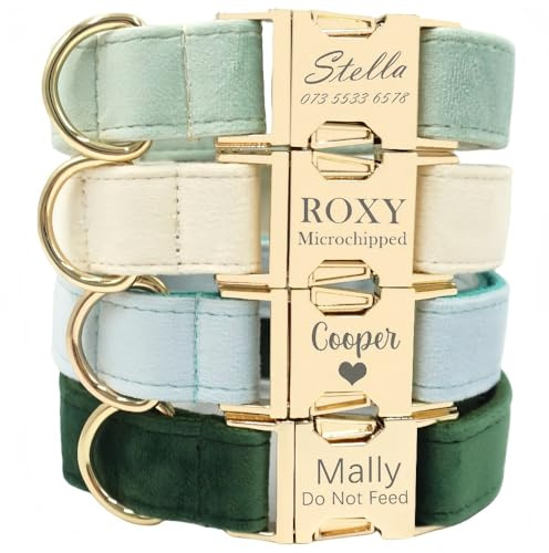 Personalisierte Hundehalsband Mit Metallschnalle, Benutzerdefinierte Für Mädchen Jungen Hund Eingraviert Name/Telefon Einstellbar Haustier Halsband Für Kleine Mittlere Große Hunde(Velvet style)