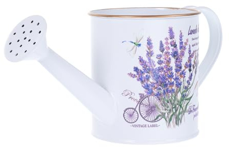 PRETYZOOM Annaffiatoio Zincato Mini Decorativo in Latta 9,5x10 Cm Beccuccio per Irrigazione Piante Vaso da Fiori Vintage per Decorazione Casa e Giardino