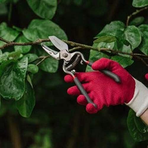 Westland Kent & Stowe Natural Bamboo Gardening Gloves Red & White Ladies
