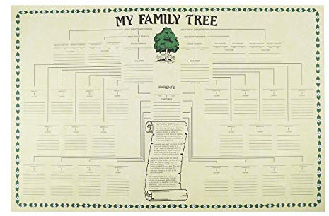 TG,LLC Treasure Gurus Large Paper Family History Tree Genetic Ancestry Chart Generation Poster Wall Hanging