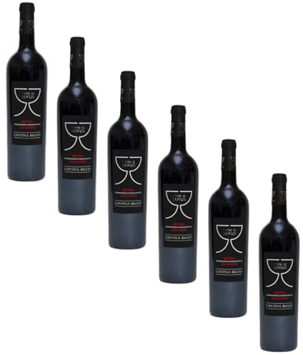 Aglianico Irpinia DOC | Cantina Riccio | Vino Rosso della Campania | 6 Bottiglie 75Cl | Offerta