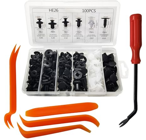 VSREI 100 Piezas de Grapas Coche 6 Tamaños Remaches Plastico Coche para Puertas y Clips de Fijación para coche,clips de plástico universales para parachoques(Con herramienta de desmontaje 2)