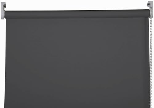 Apex Furnishings Charcoal Grey Blackout roller blinds for windows, Thermal Insulated UV Protection Child Safety Trimmable Easy Fit Home office Window Blinds W 60cm x L 165cm