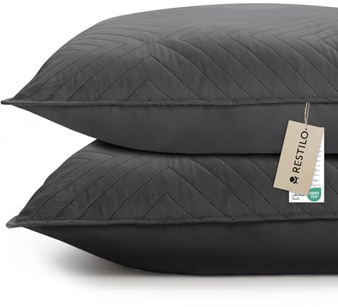 RESTILO Lot de 2 housses de coussin, 45 x 45 cm, en acier, décoratives, matelassage ultrasonique, douces, idéales pour le salon, la chambre à coucher, le canapé