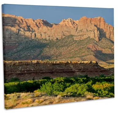 3dRose Flank of Kinesava above Rockville Basin, Zion NP, Utah. Museum Grade Canvas Wrap 14x11